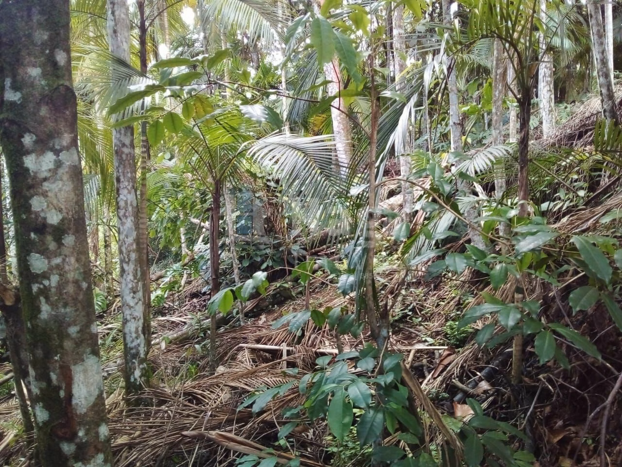 Casa de 692 m² em Brusque, SC