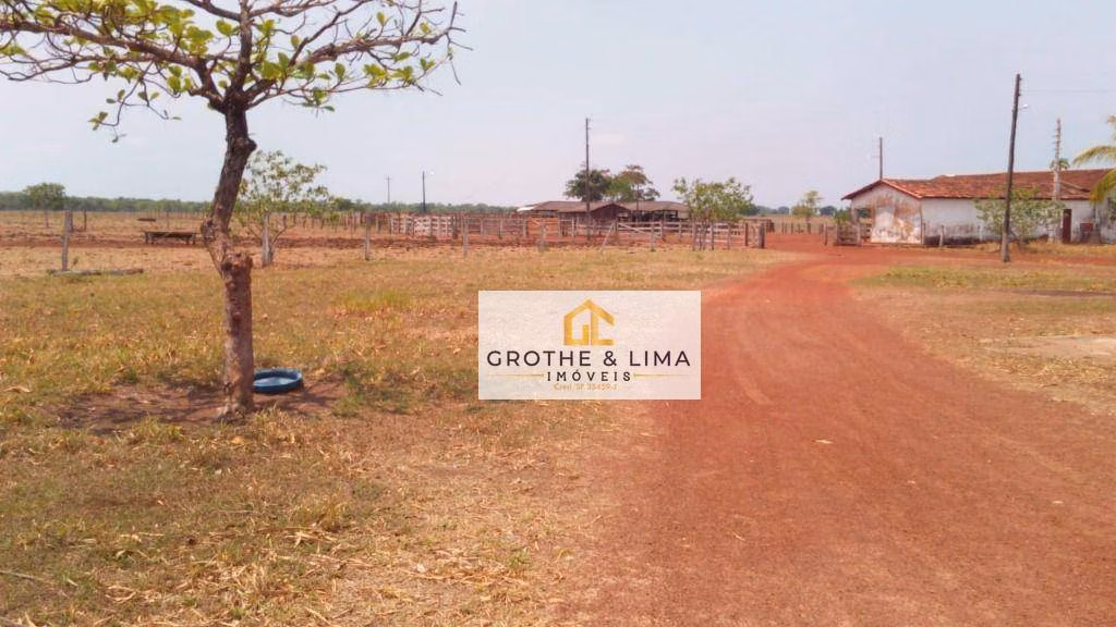 Farm of 33.488 acres in Araguacema, TO, Brazil