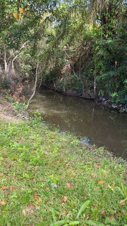 Fazenda de 320 ha em Jangada, MT