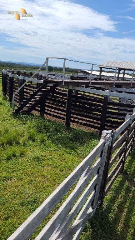Fazenda de 320 ha em Jangada, MT