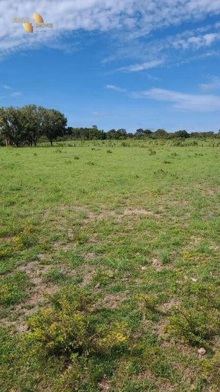Fazenda de 320 ha em Jangada, MT