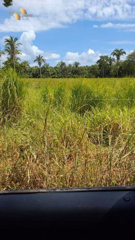 Fazenda de 320 ha em Jangada, MT