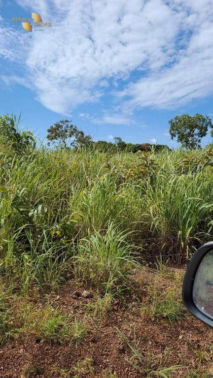 Fazenda de 320 ha em Jangada, MT