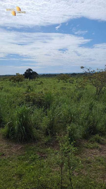 Fazenda de 320 ha em Jangada, MT