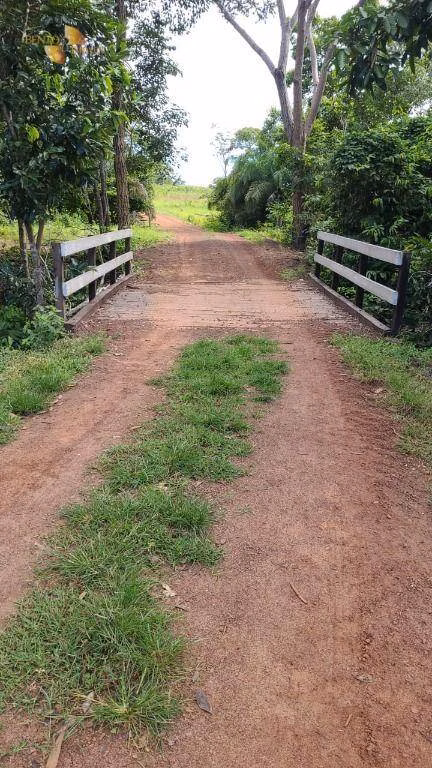 Fazenda de 320 ha em Jangada, MT