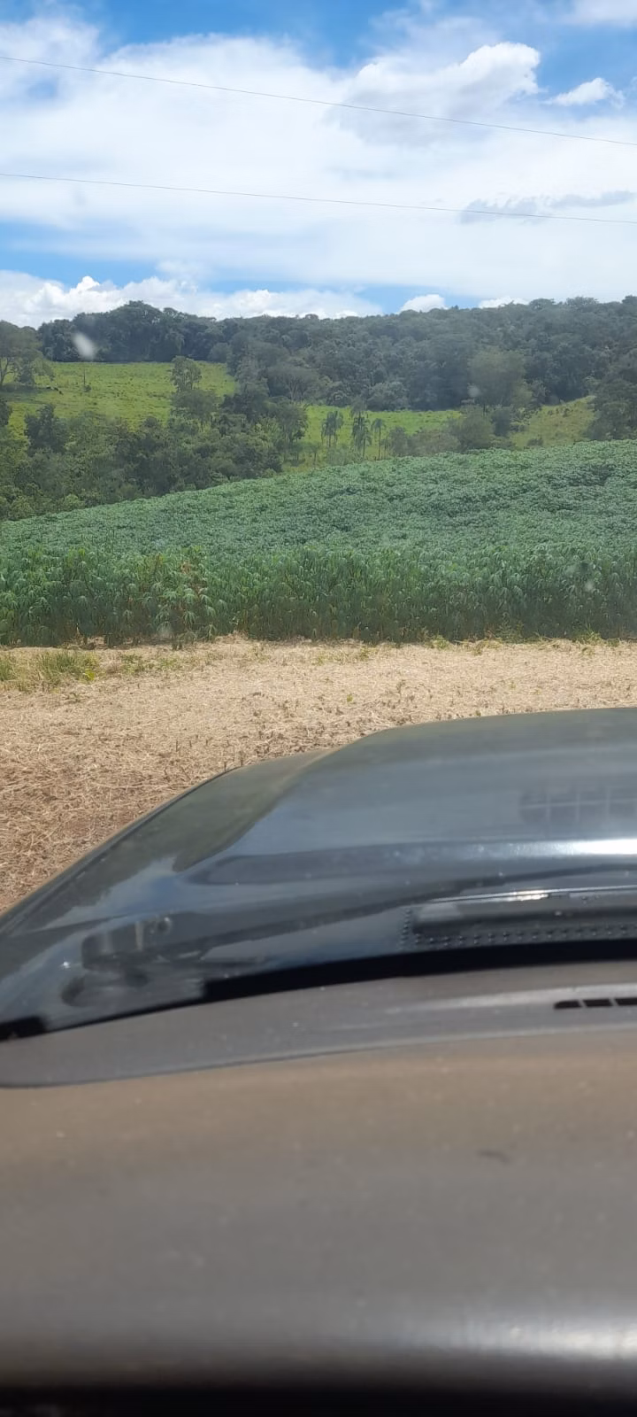 Chácara de 5 ha em Vianópolis, GO