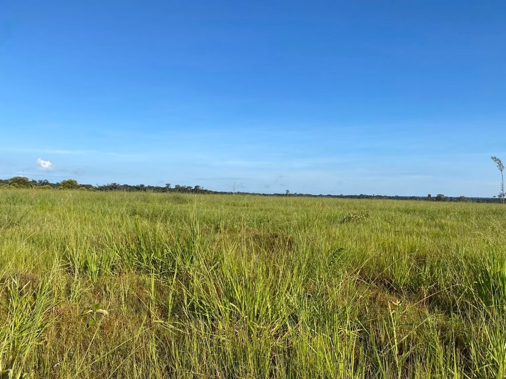 Fazenda de 120 ha em Feliz Natal, MT