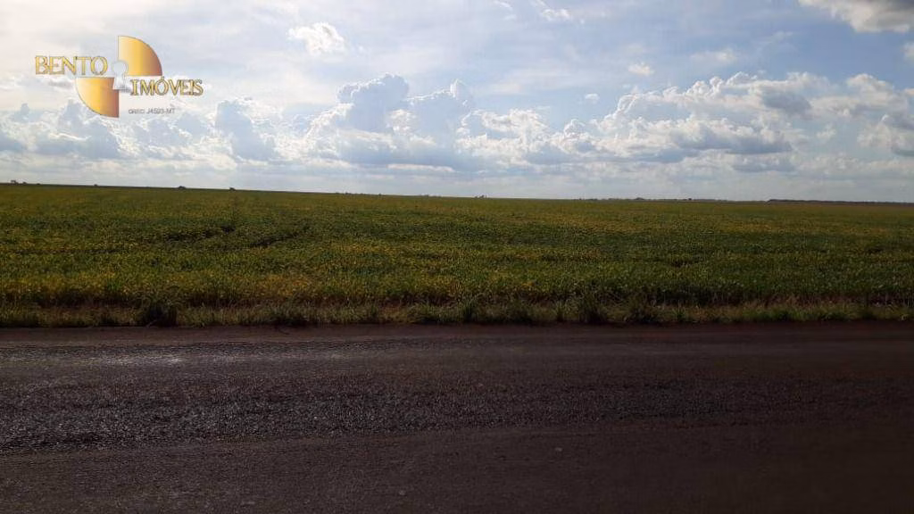 Fazenda de 2.026 ha em Tangará da Serra, MT