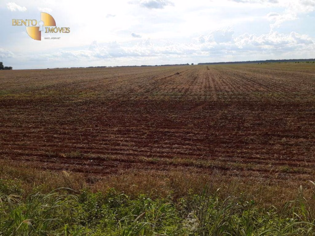 Fazenda de 2.026 ha em Tangará da Serra, MT