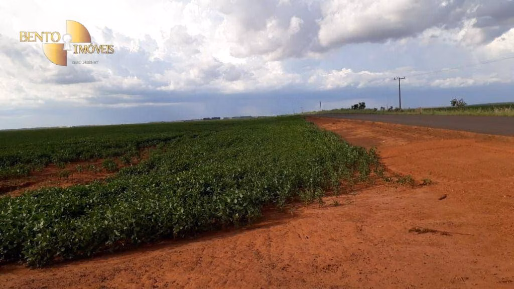 Fazenda de 2.026 ha em Tangará da Serra, MT