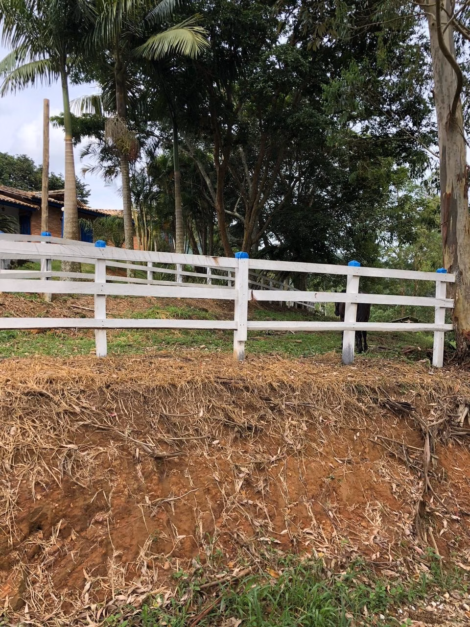 Farm of 933 acres in Taubaté, SP, Brazil