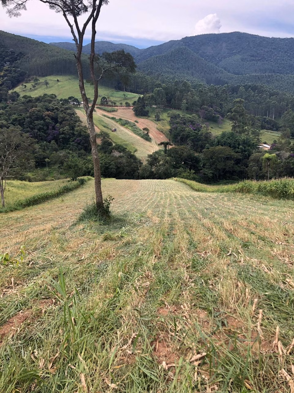 Fazenda de 378 ha em Taubaté, SP