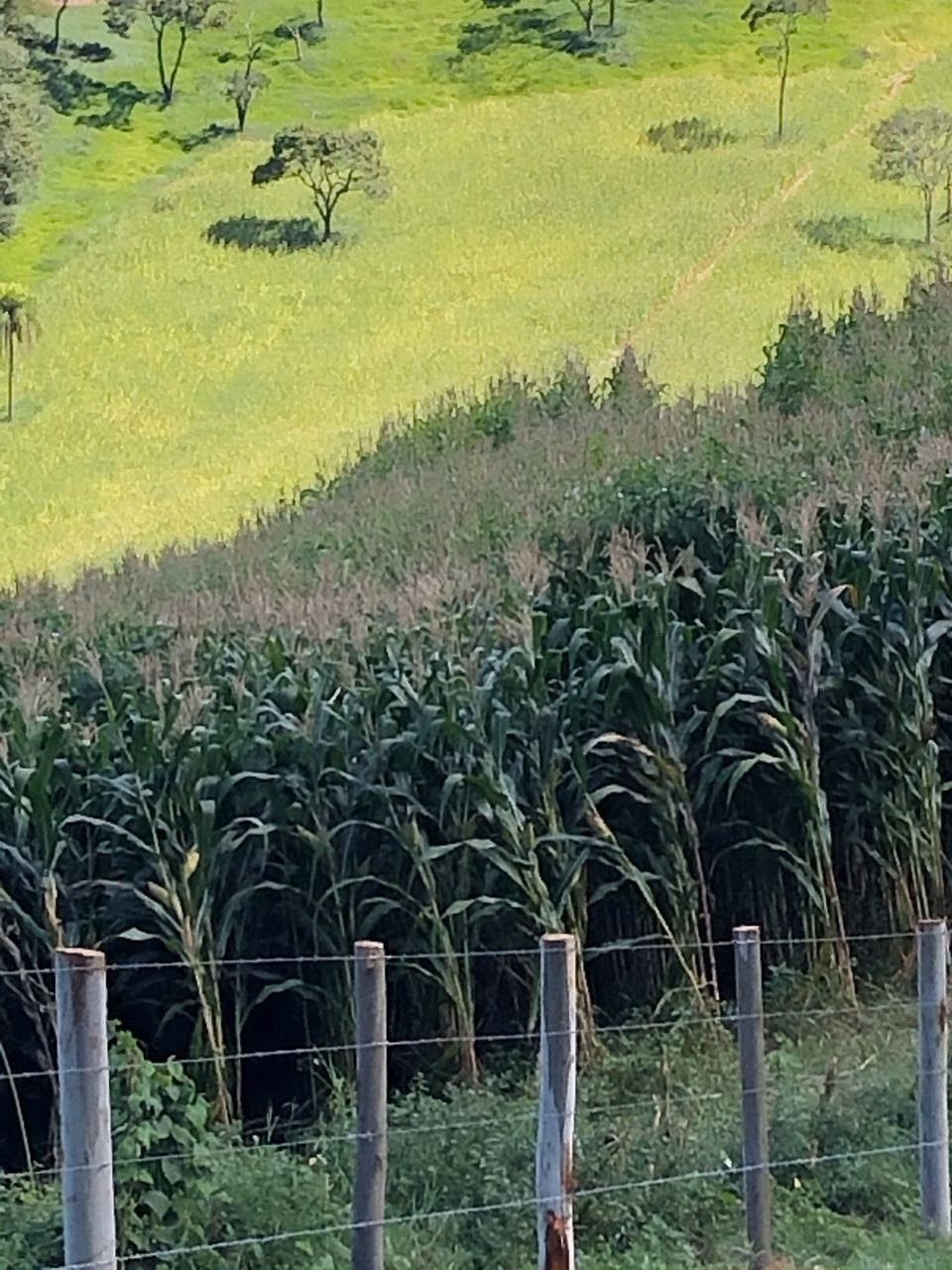 Fazenda de 378 ha em Taubaté, SP