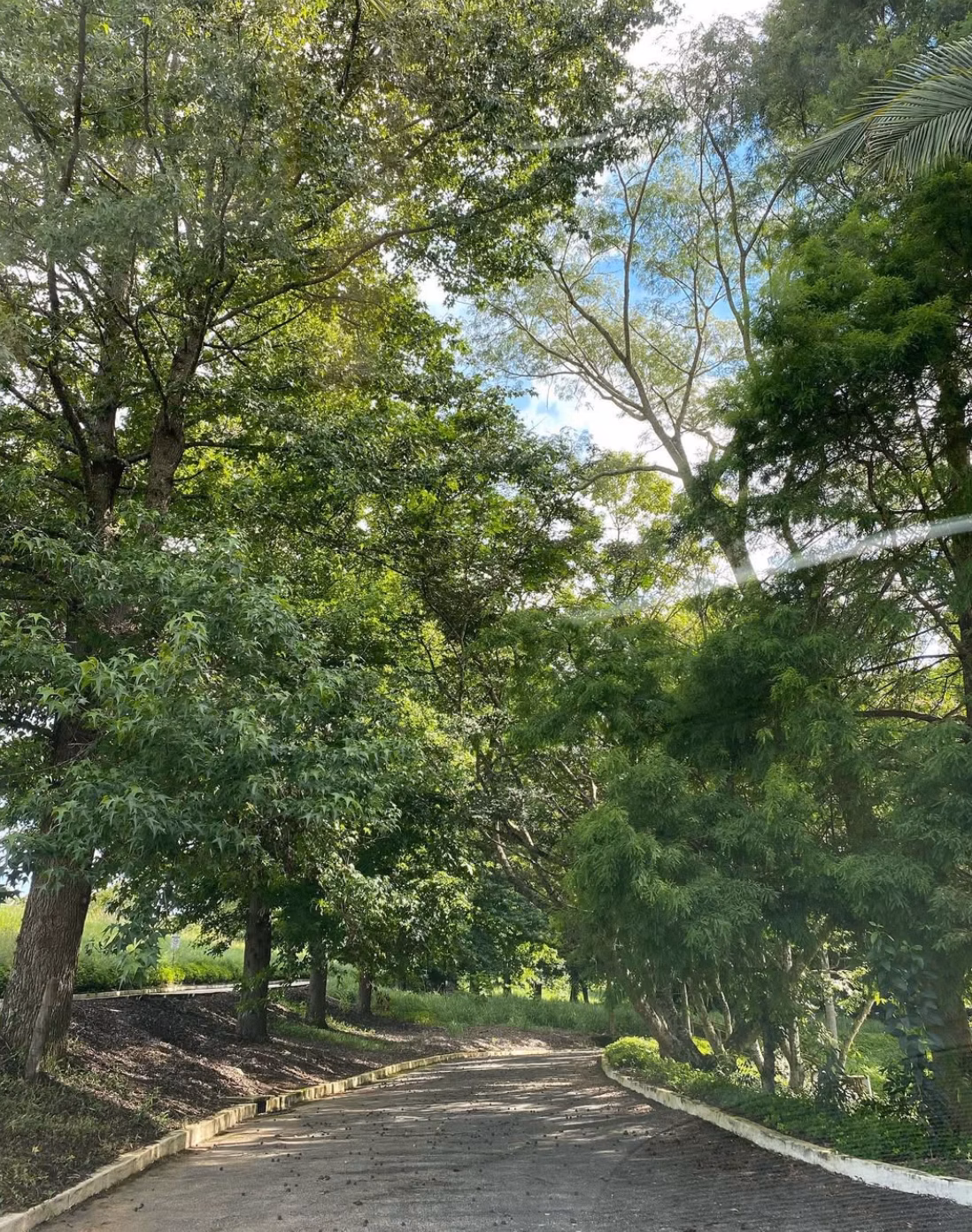 Plot of 5 acres in Jarinu, SP, Brazil