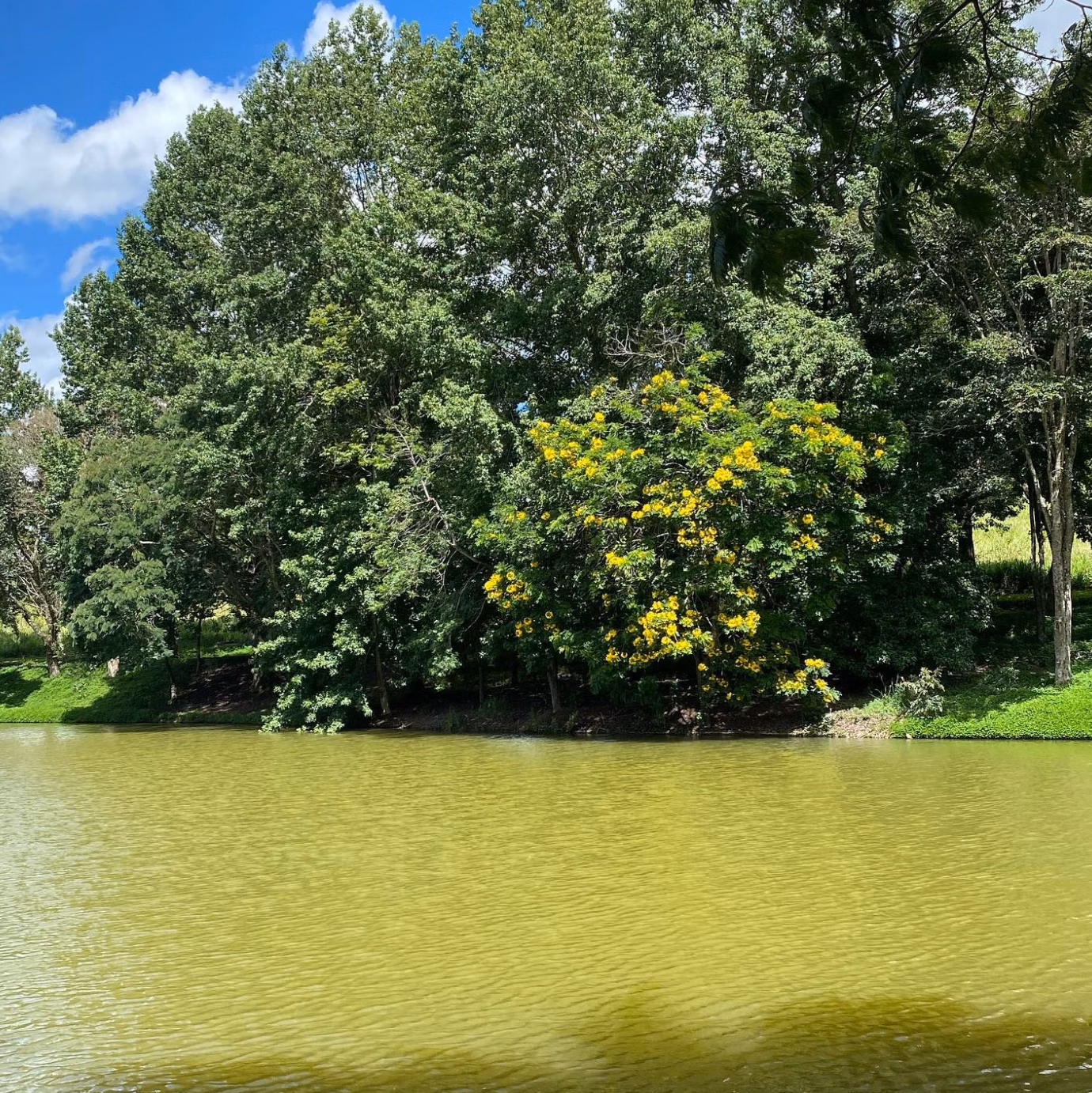 Plot of 5 acres in Jarinu, SP, Brazil