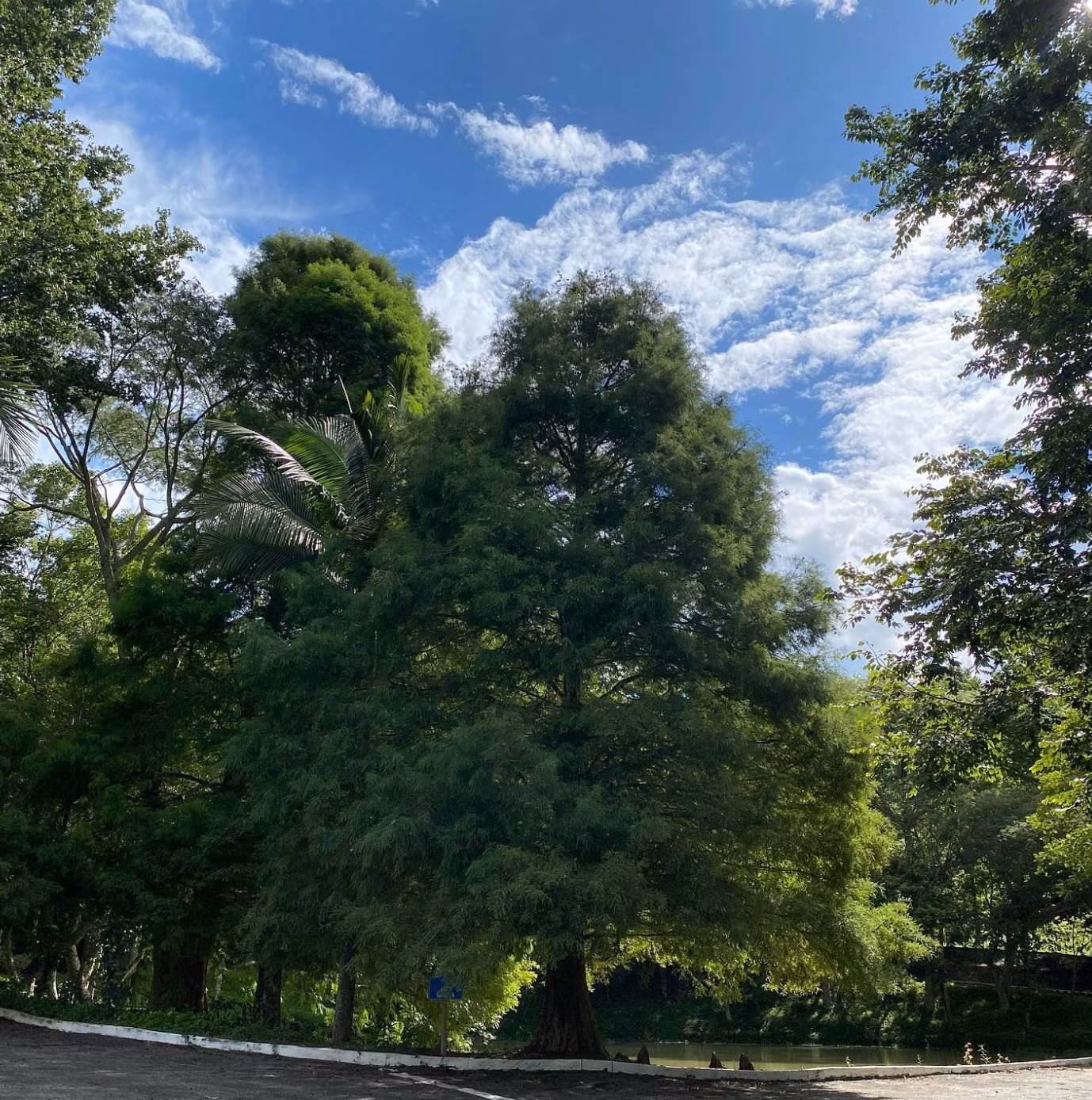Plot of 5 acres in Jarinu, SP, Brazil