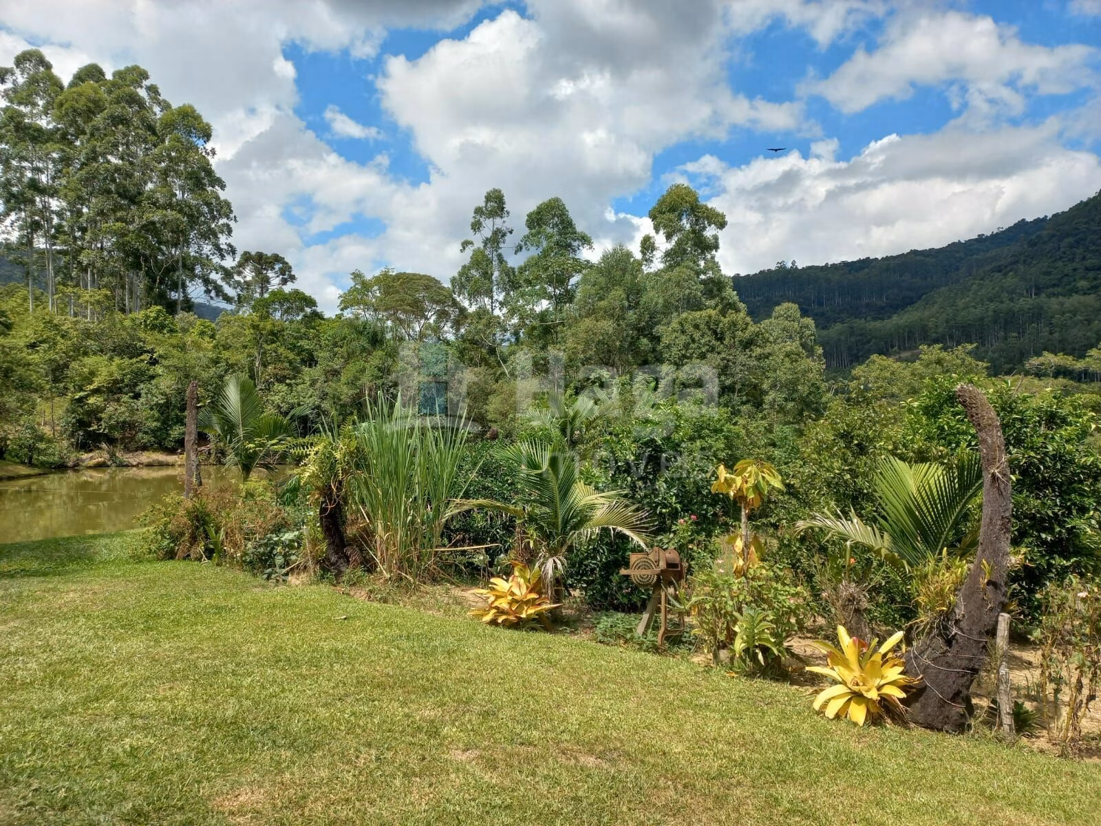 Sítio de 1 ha em José Boiteux, SC