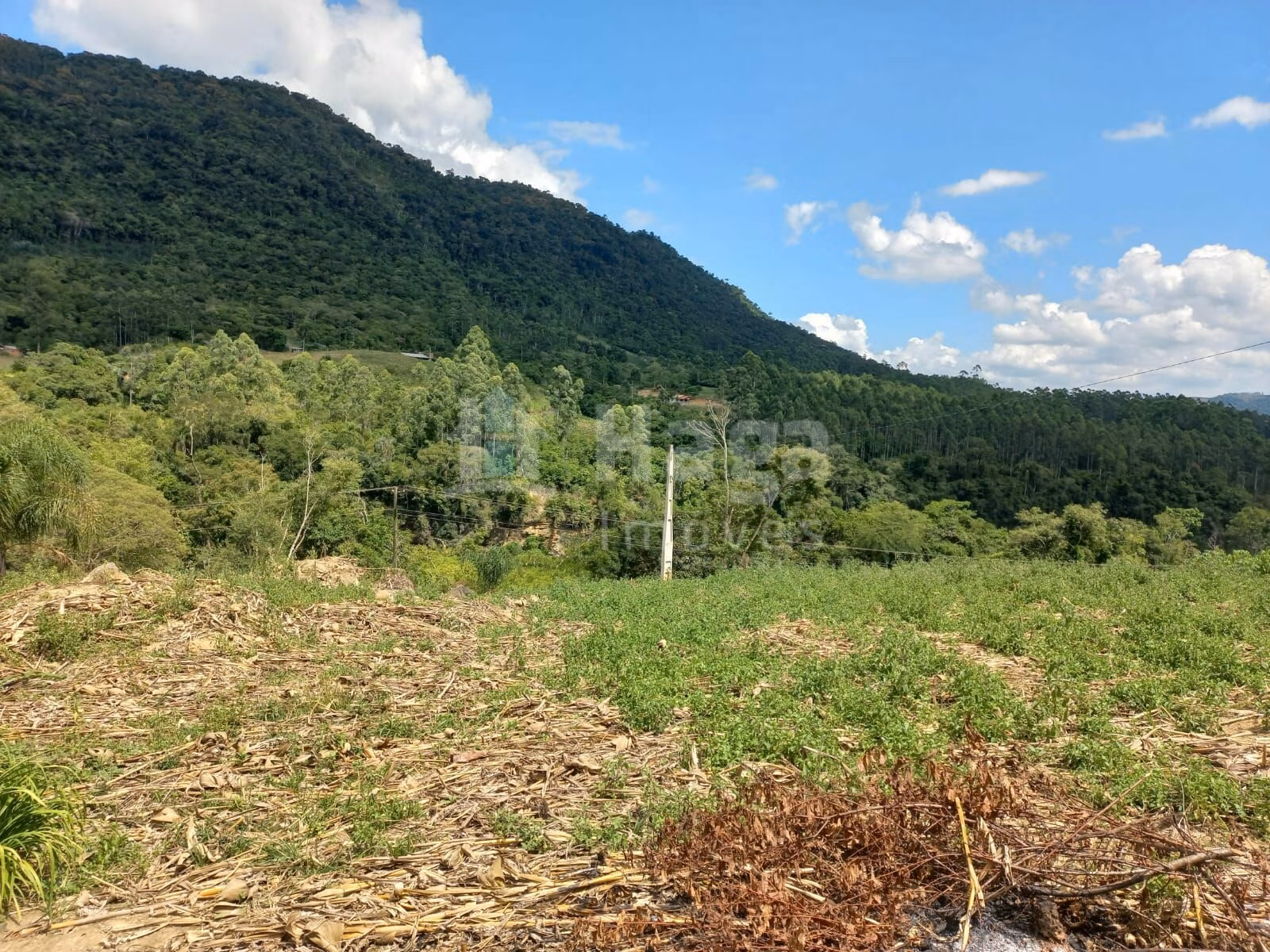 Sítio de 1 ha em José Boiteux, SC