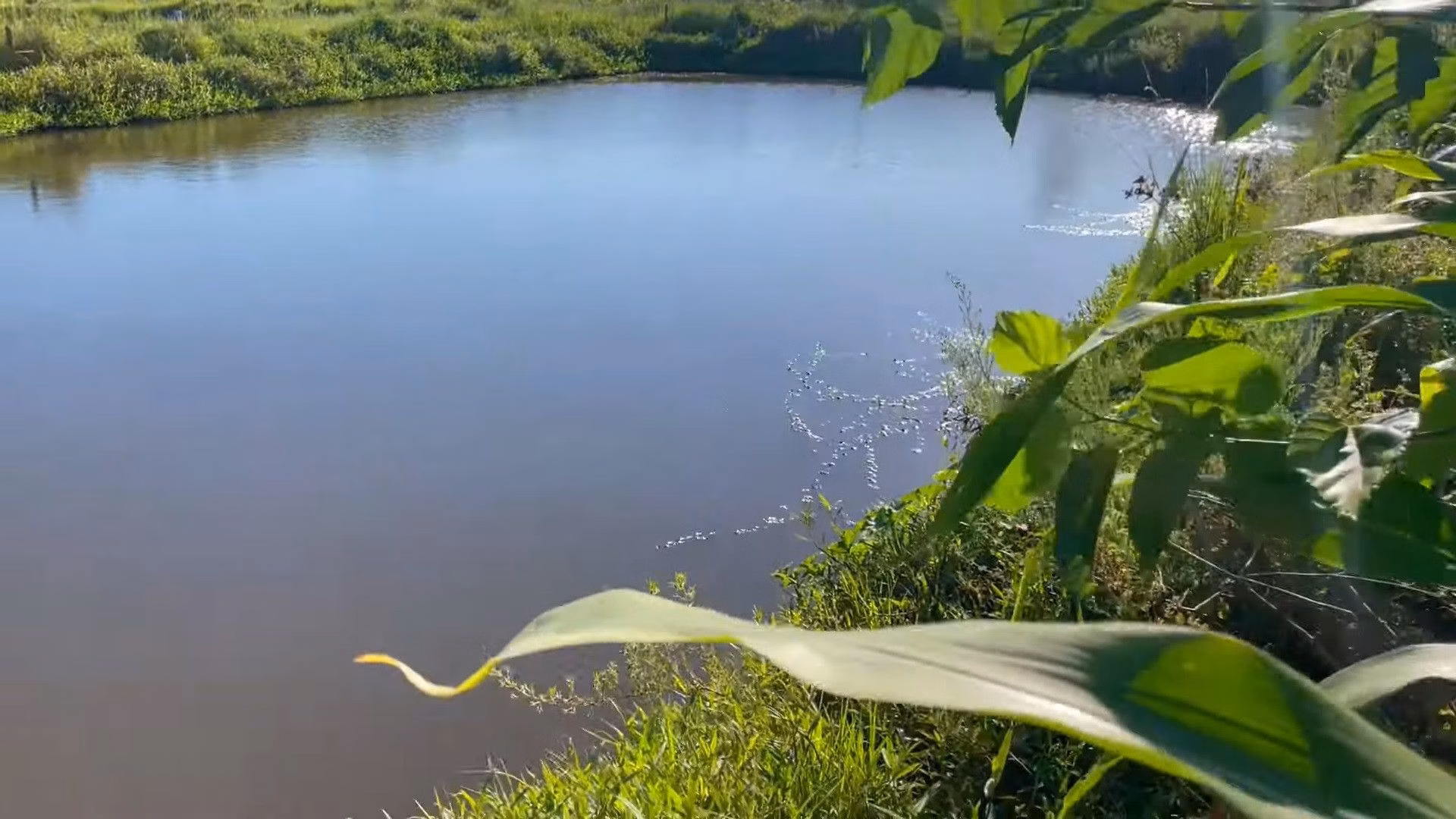 Chácara de 2.900 m² em Santo Antônio da Patrulha, RS