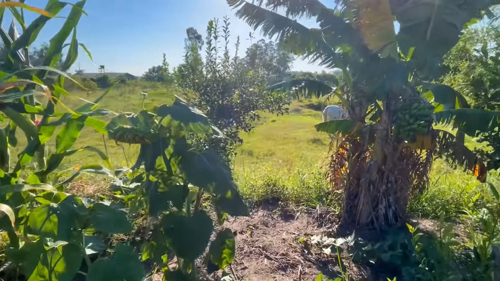 Country home of 2,900 m² in Santo Antônio da Patrulha, RS, Brazil