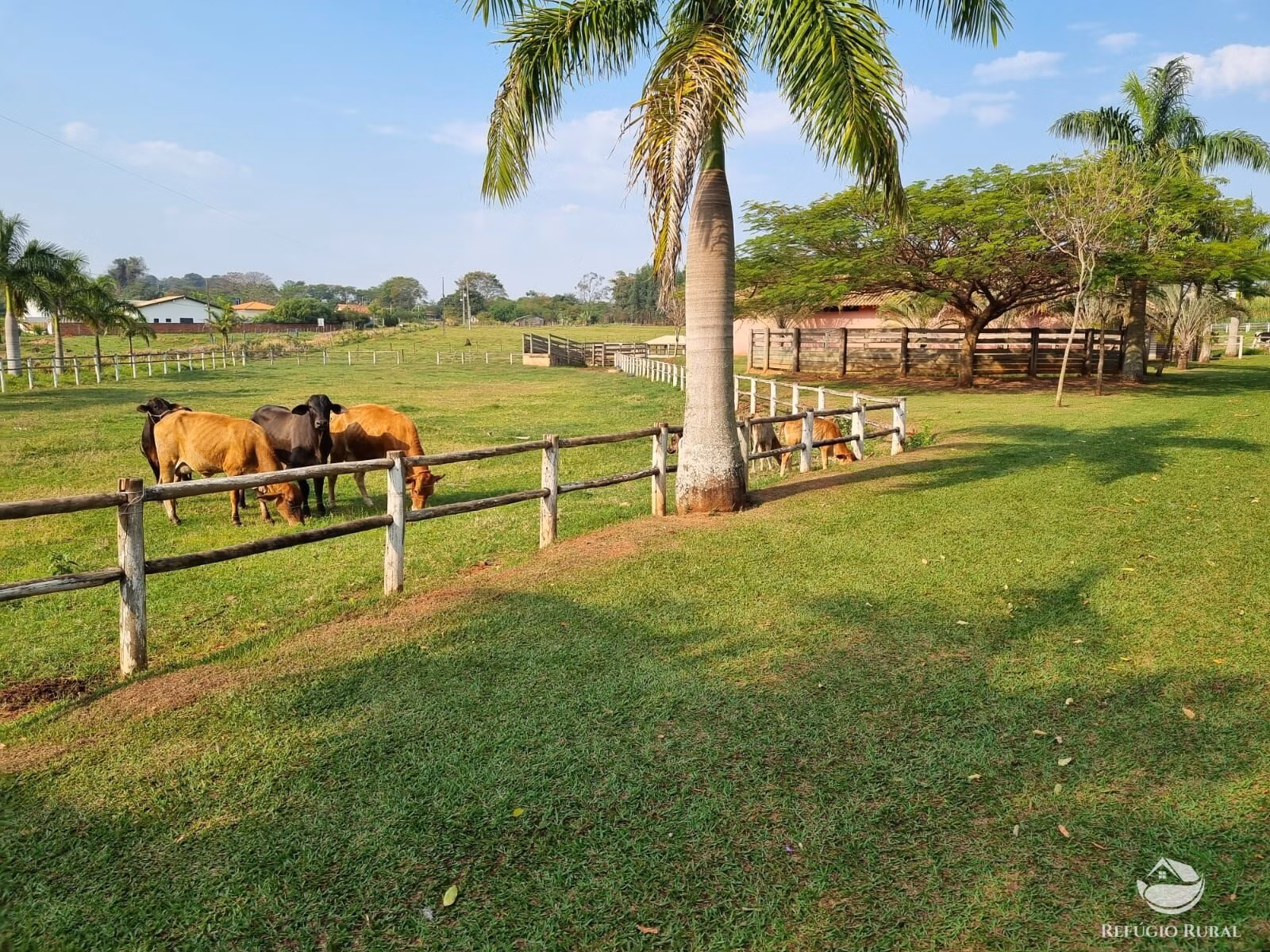 Chácara de 3 ha em Cianorte, PR