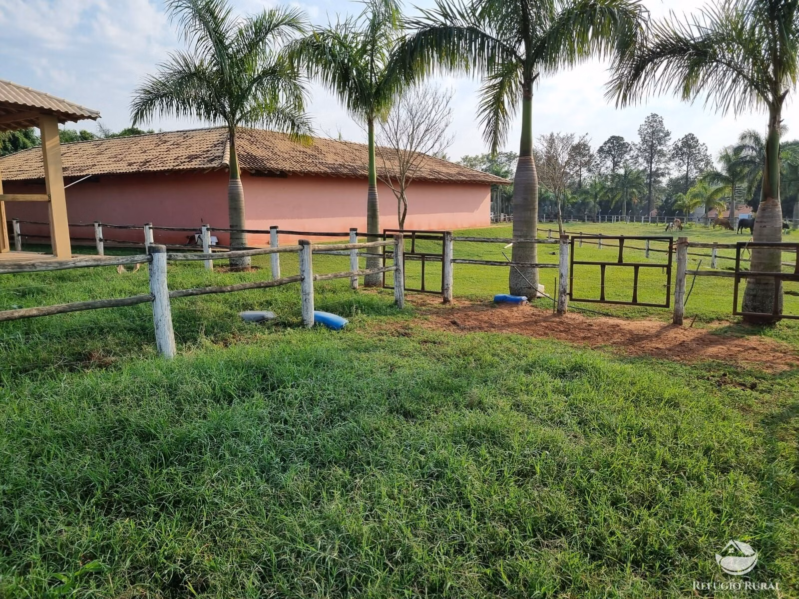 Chácara de 3 ha em Cianorte, PR