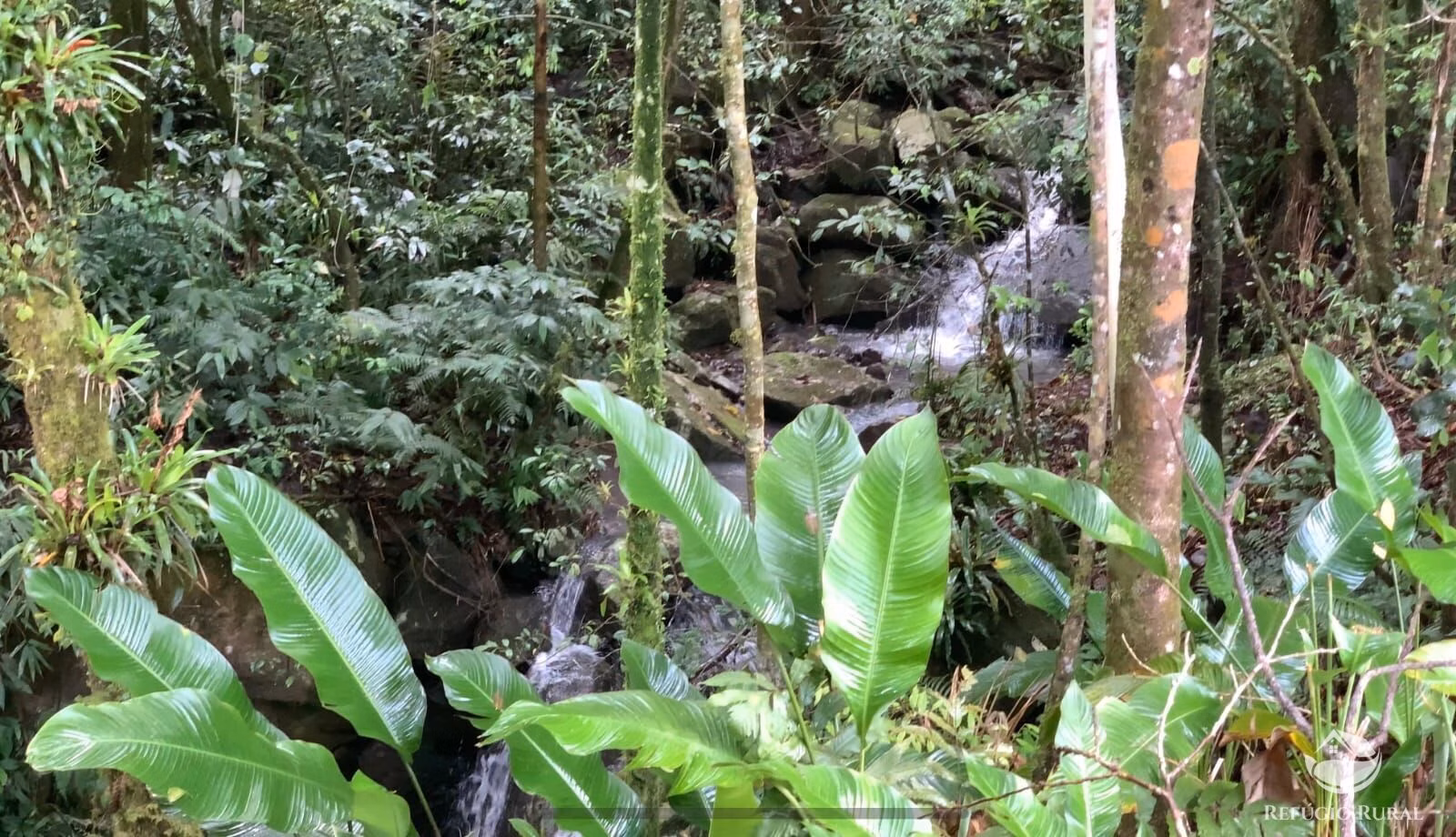 Terreno de 3 ha em Três Forquilhas, RS