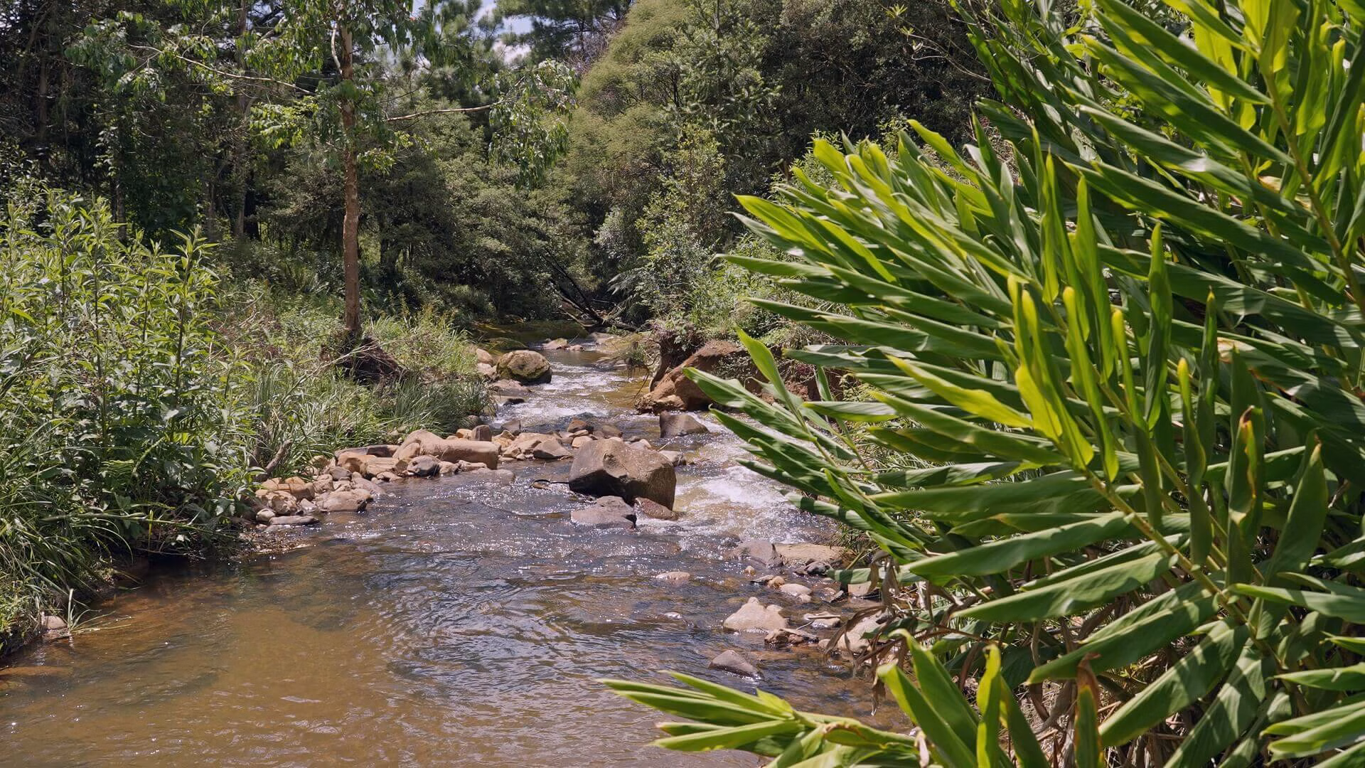 Sítio de 38 ha em Urubici, SC