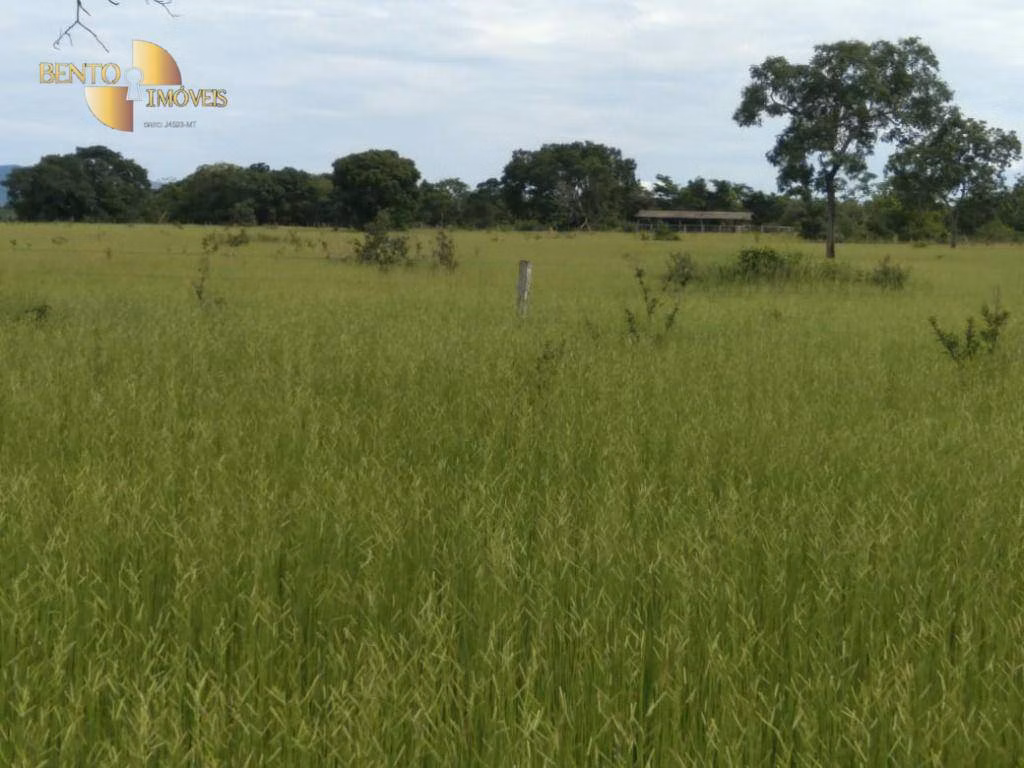 Fazenda de 977 ha em Jangada, MT
