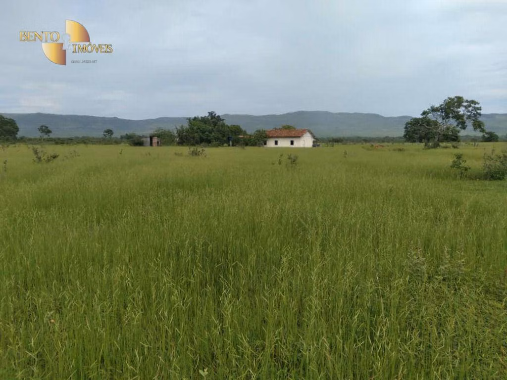 Fazenda de 977 ha em Jangada, MT