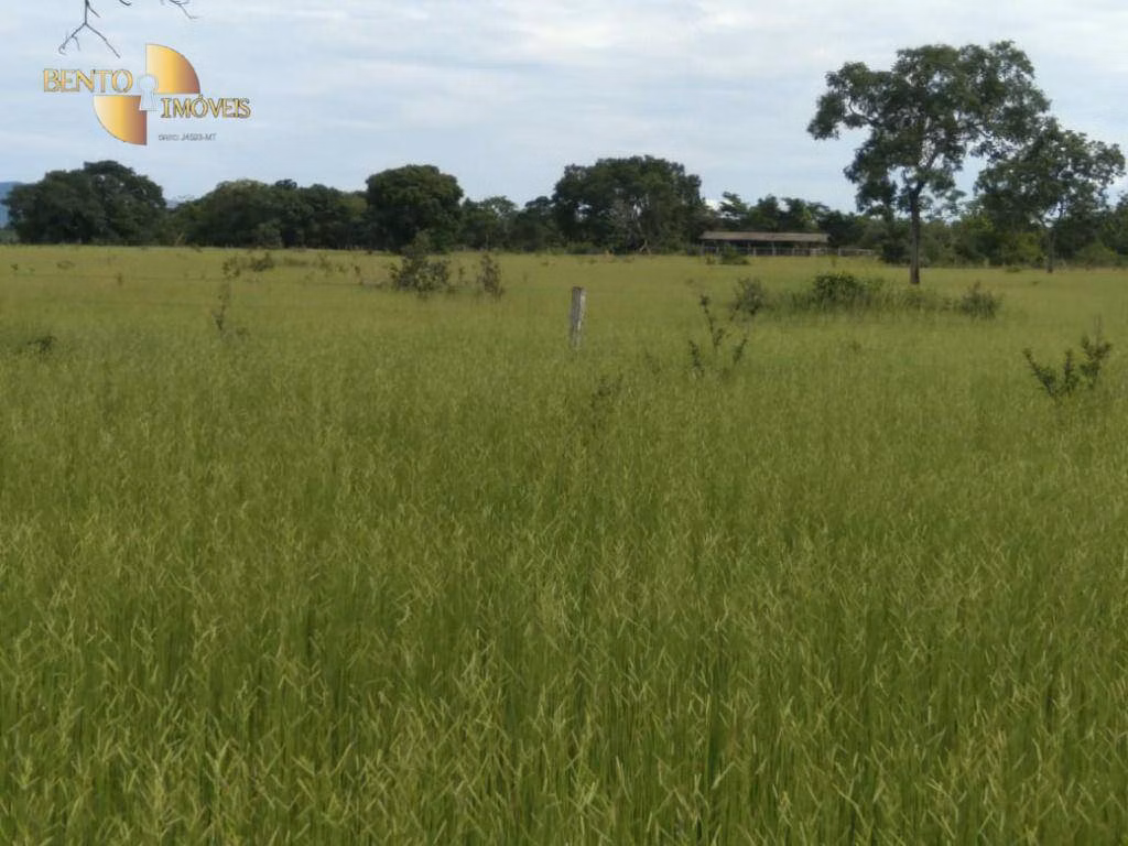 Fazenda de 977 ha em Jangada, MT