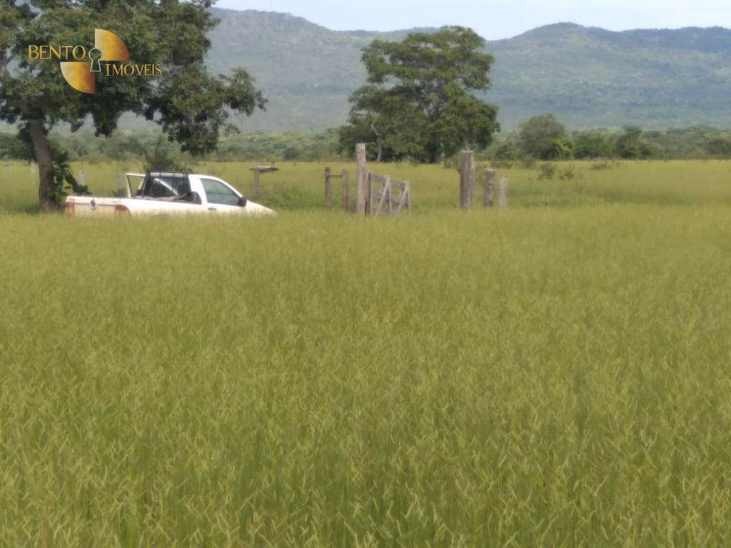 Fazenda de 977 ha em Jangada, MT