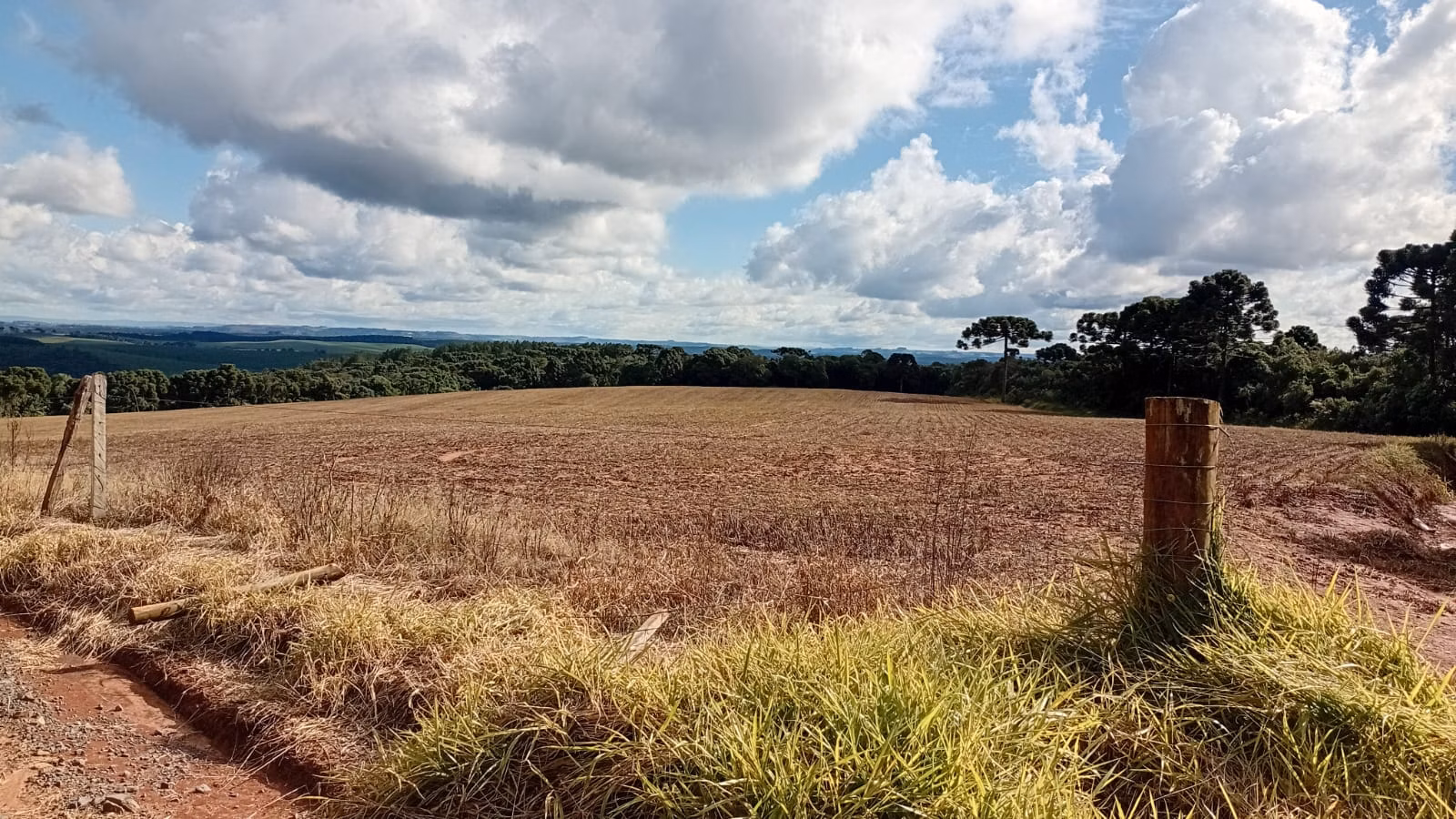 Terreno de 41 ha em Teixeira Soares, PR
