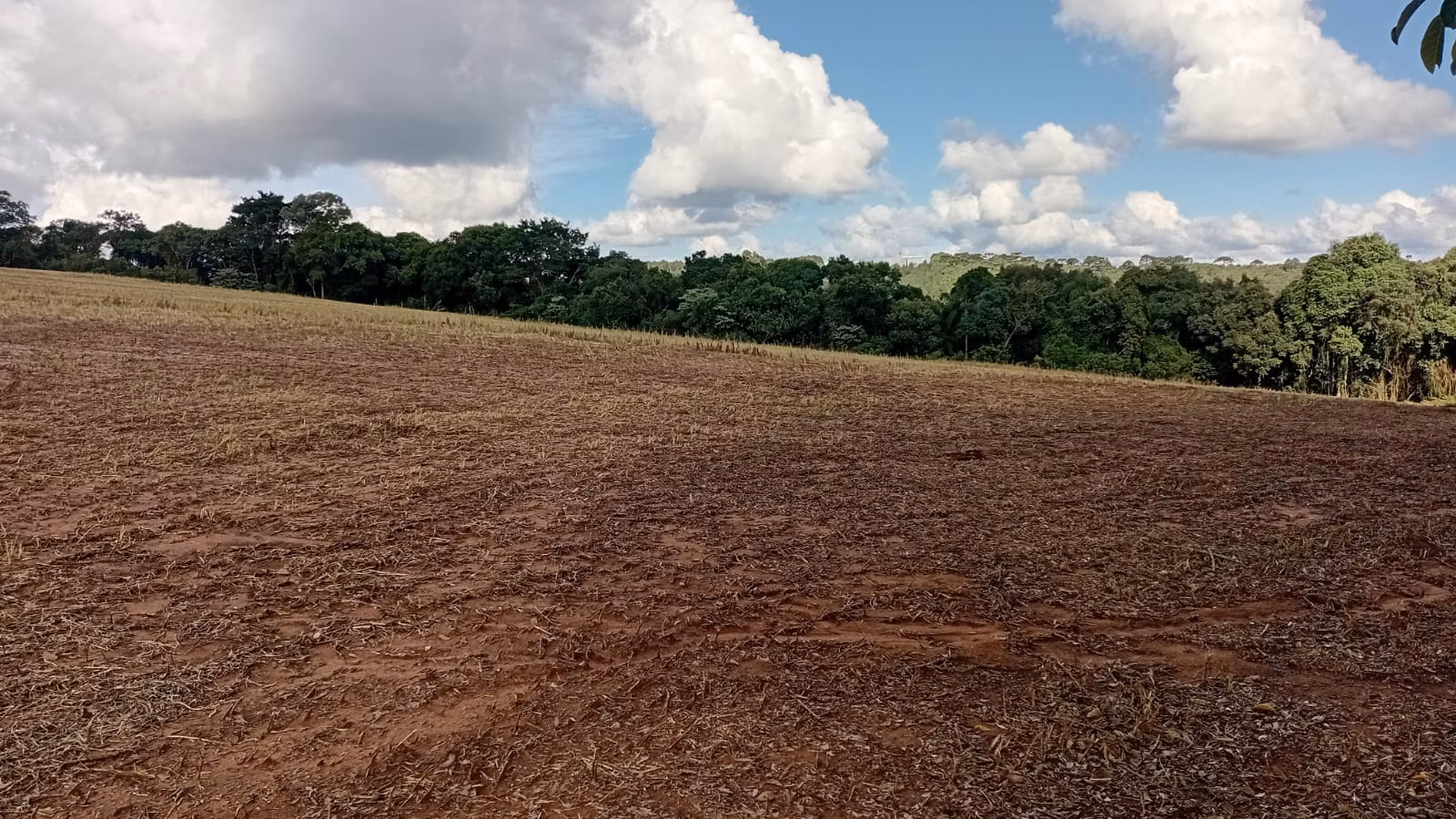 Terreno de 41 ha em Teixeira Soares, PR