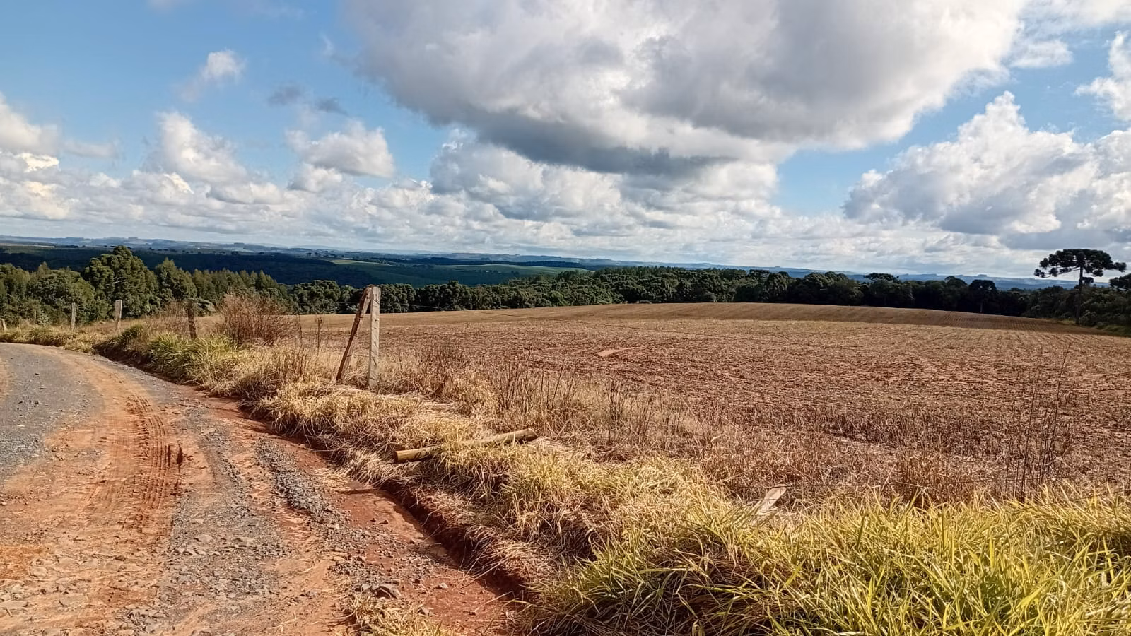 Terreno de 41 ha em Teixeira Soares, PR