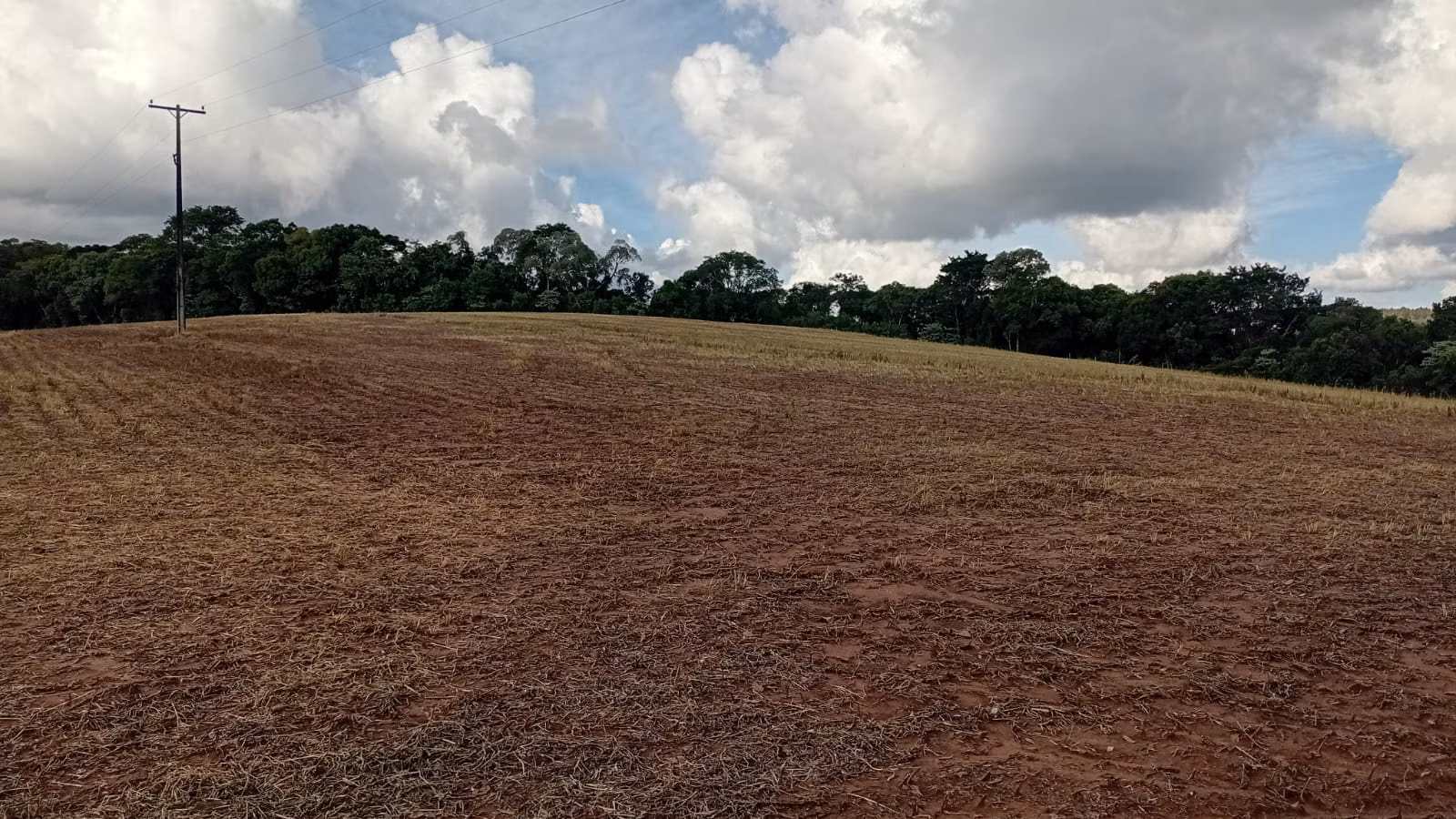 Terreno de 41 ha em Teixeira Soares, PR