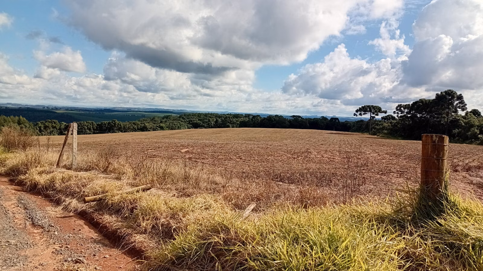 Terreno de 41 ha em Teixeira Soares, PR