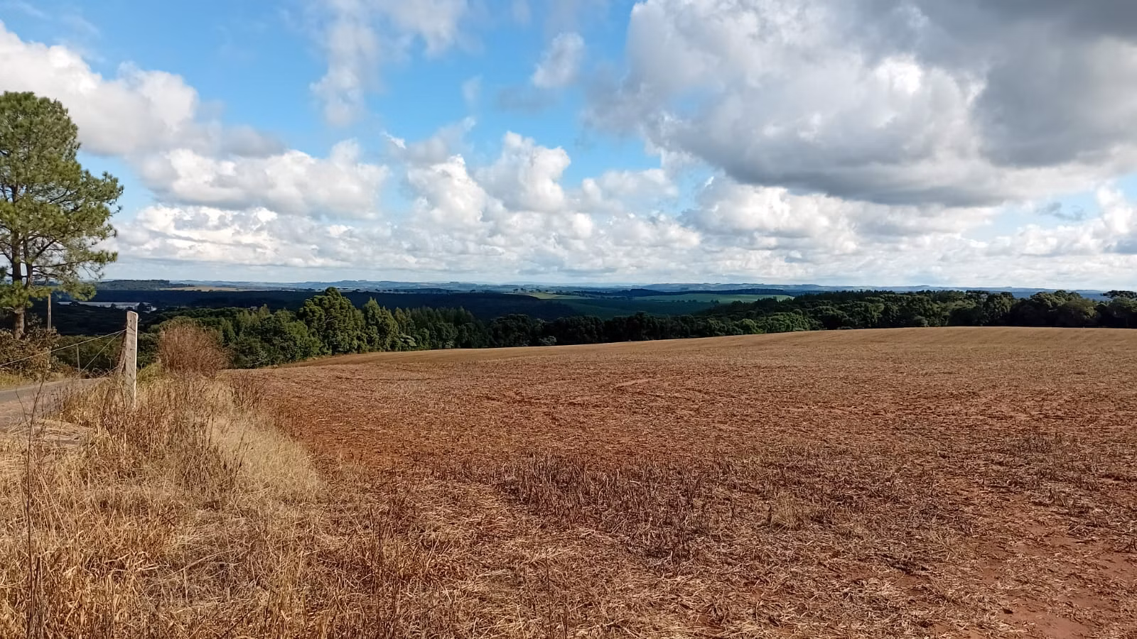 Terreno de 41 ha em Teixeira Soares, PR