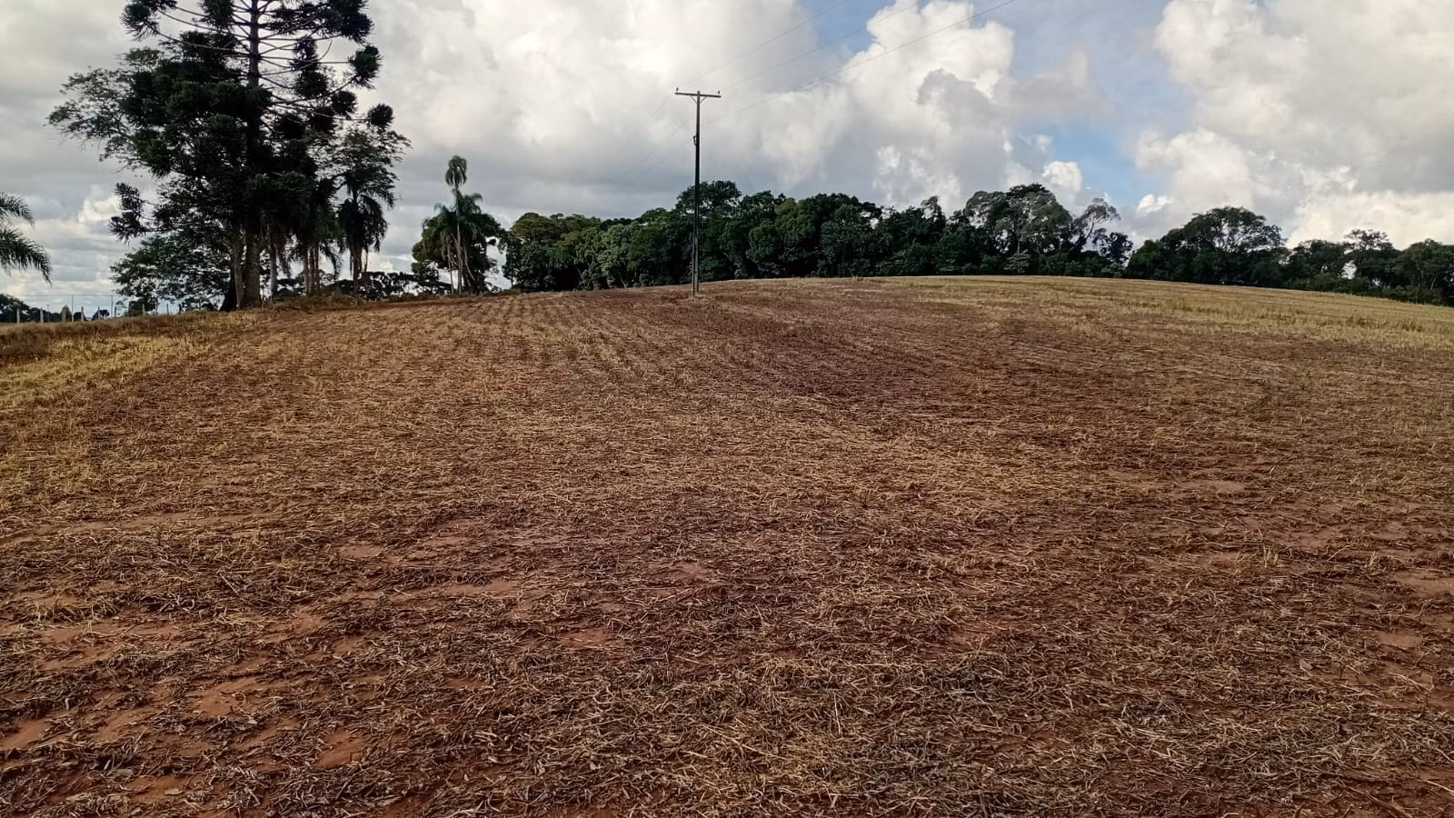 Terreno de 41 ha em Teixeira Soares, PR
