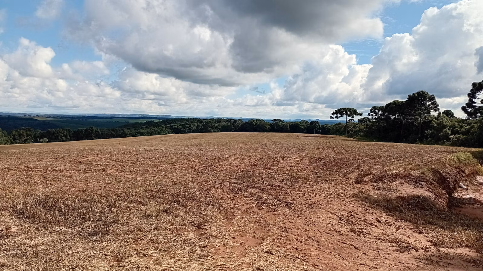 Terreno de 41 ha em Teixeira Soares, PR