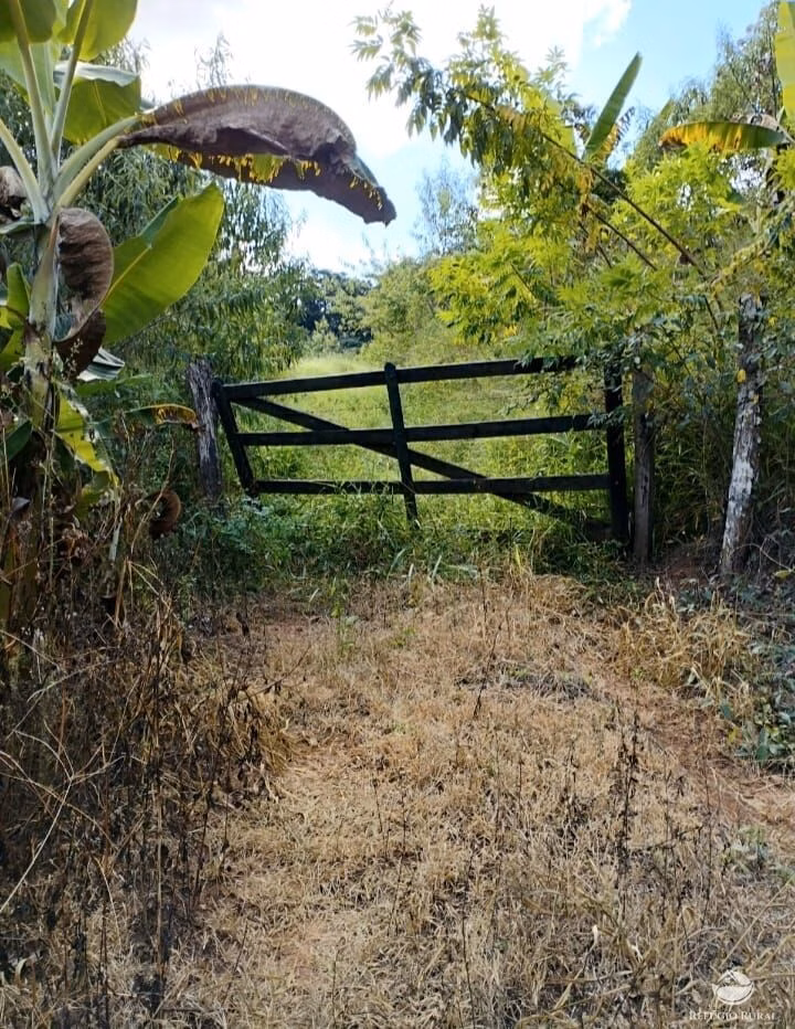 Fazenda de 101 ha em Brazópolis, MG