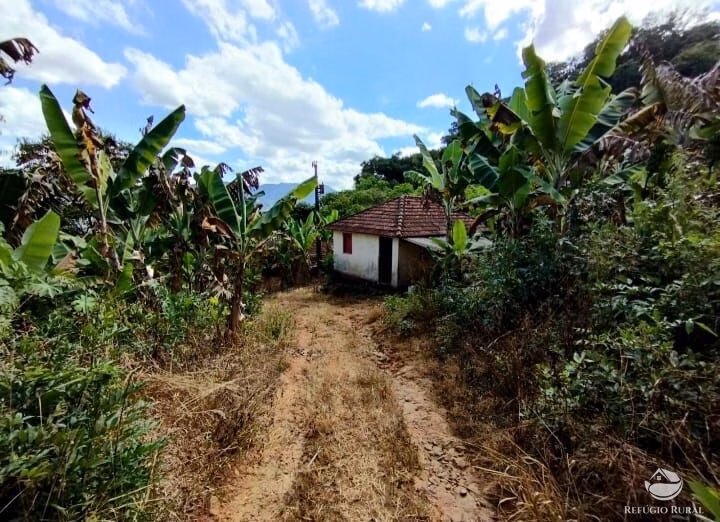 Farm of 250 acres in Brazópolis, MG, Brazil