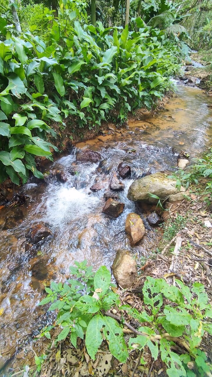 Fazenda de 1.370 m² em Major Gercino, SC