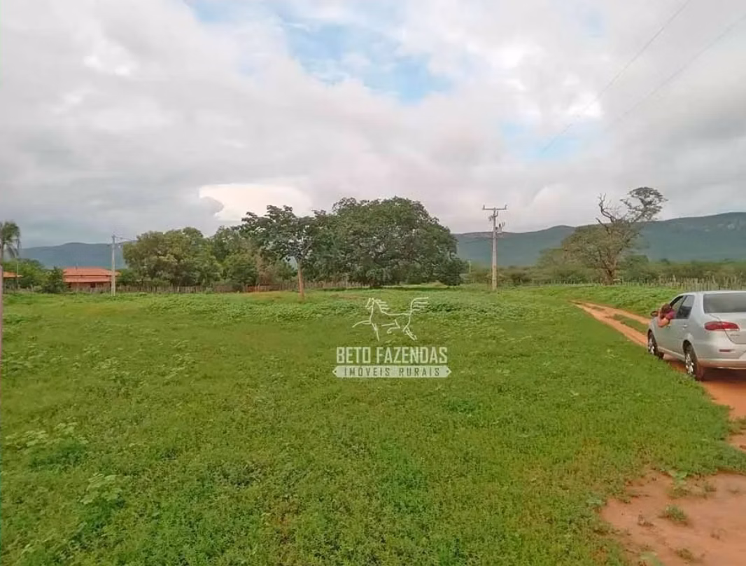 Fazenda de 3.429 ha em Oliveira dos Brejinhos, BA