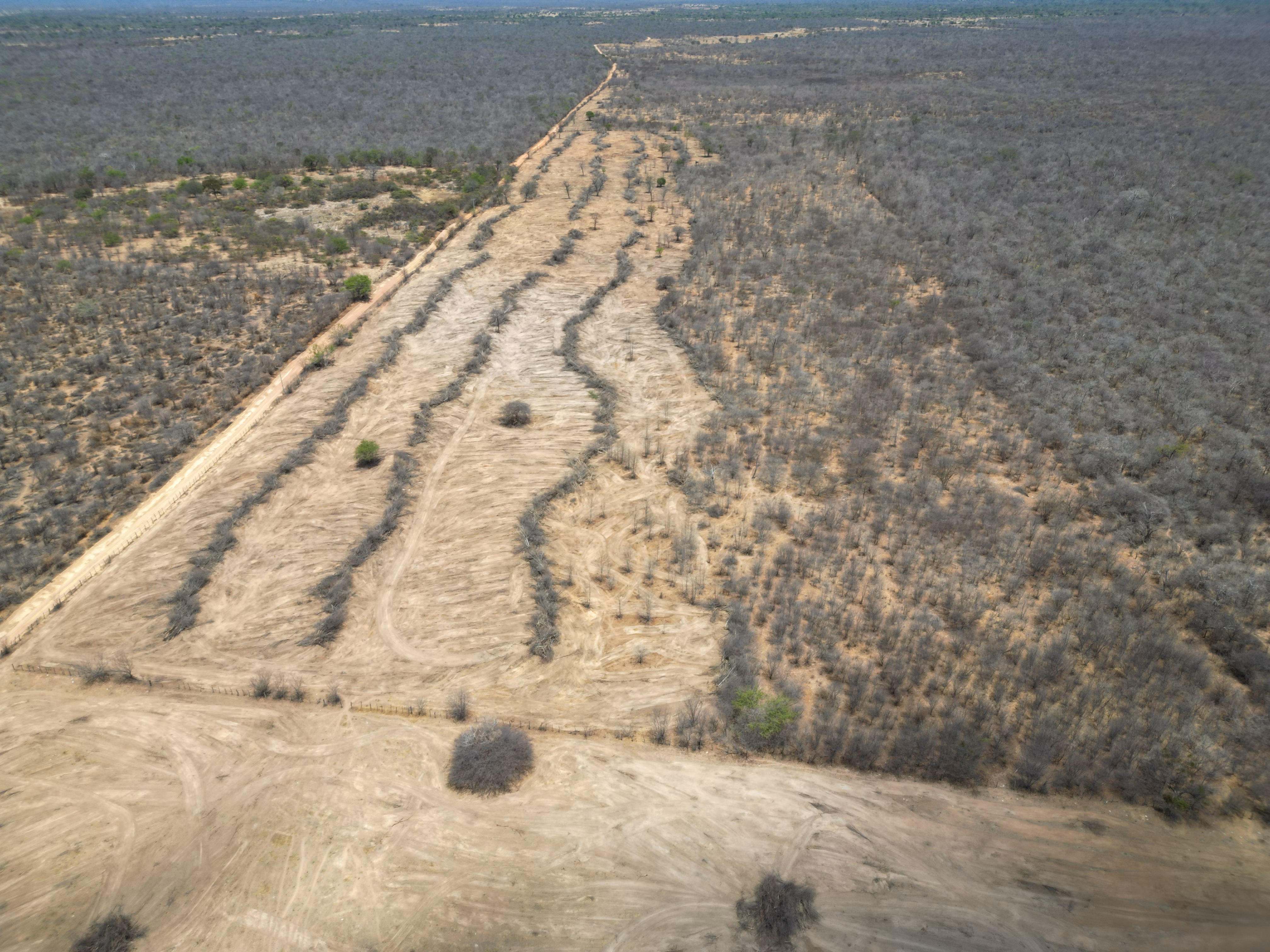 Farm of 8.473 acres in Oliveira dos Brejinhos, BA, Brazil