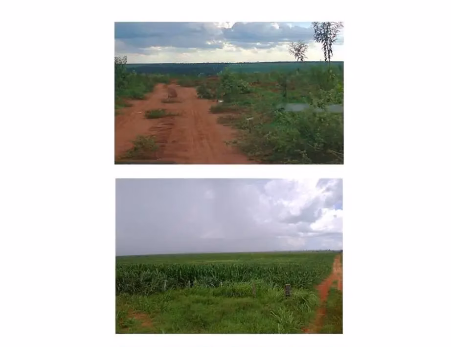 Comercial à venda de 8.419 ha em Capitán Bado, Paraguai