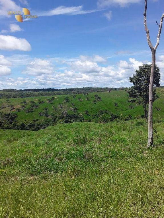 Fazenda de 410 ha em Nobres, MT