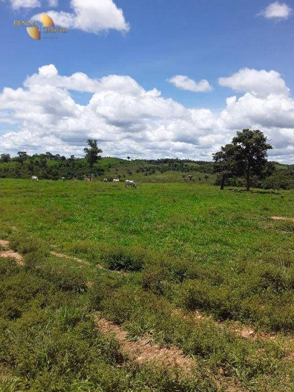 Fazenda de 410 ha em Nobres, MT