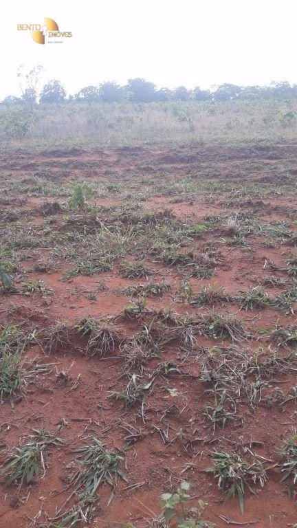 Fazenda de 680 ha em Rondonópolis, MT