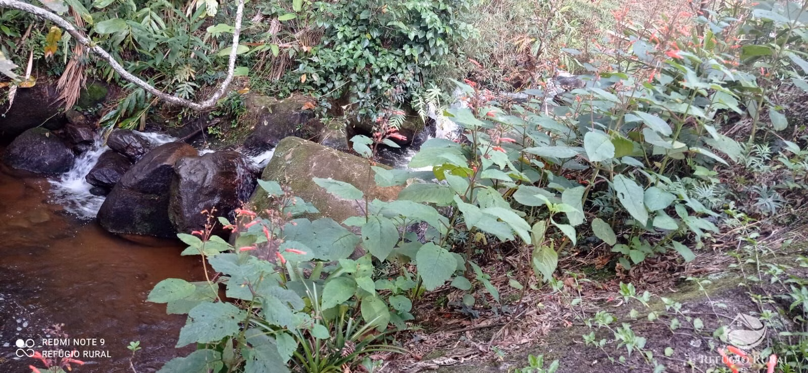 Country home of 3 acres in São José dos Campos, SP, Brazil
